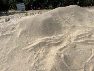 In this month’s newsletter: Latest work on the dunes, the mural, and an upcoming fund-raising activity; What to spot at the dunes · How to donate to BCI and Friends of Pinhey Sand Dunes; New executive and outstanding positions