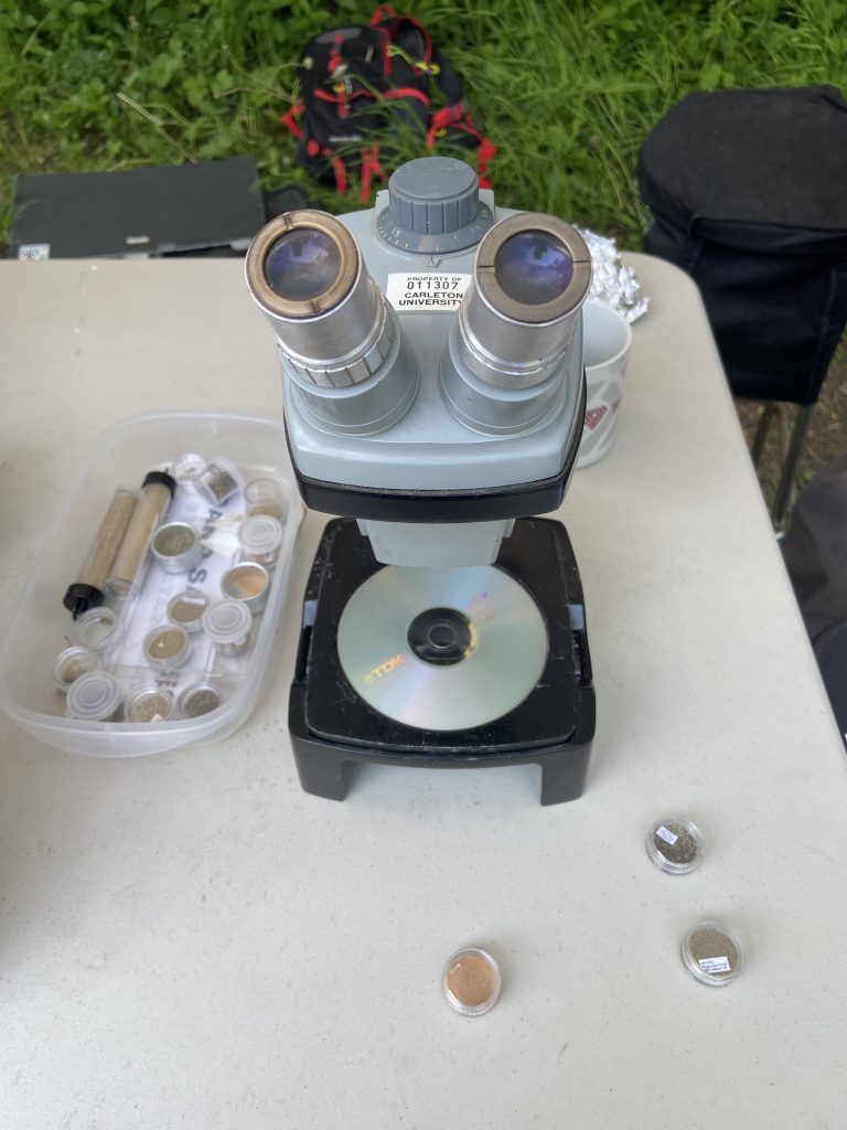Visitors saw insects up close using a microscope