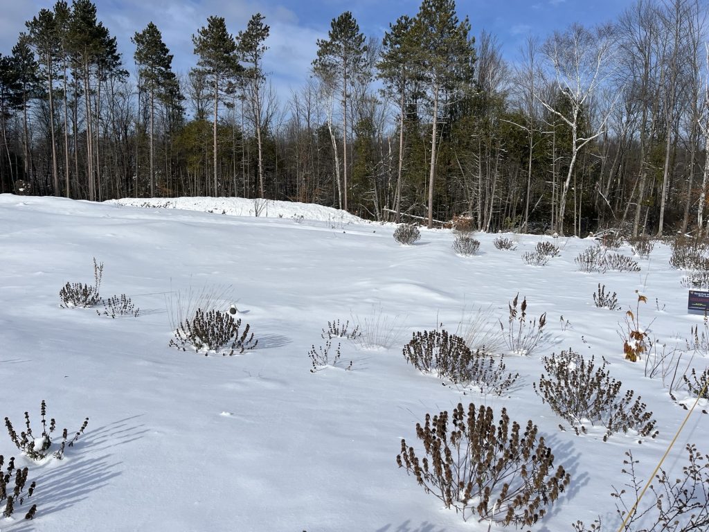 October at the dunes. Photo by Karen Lane