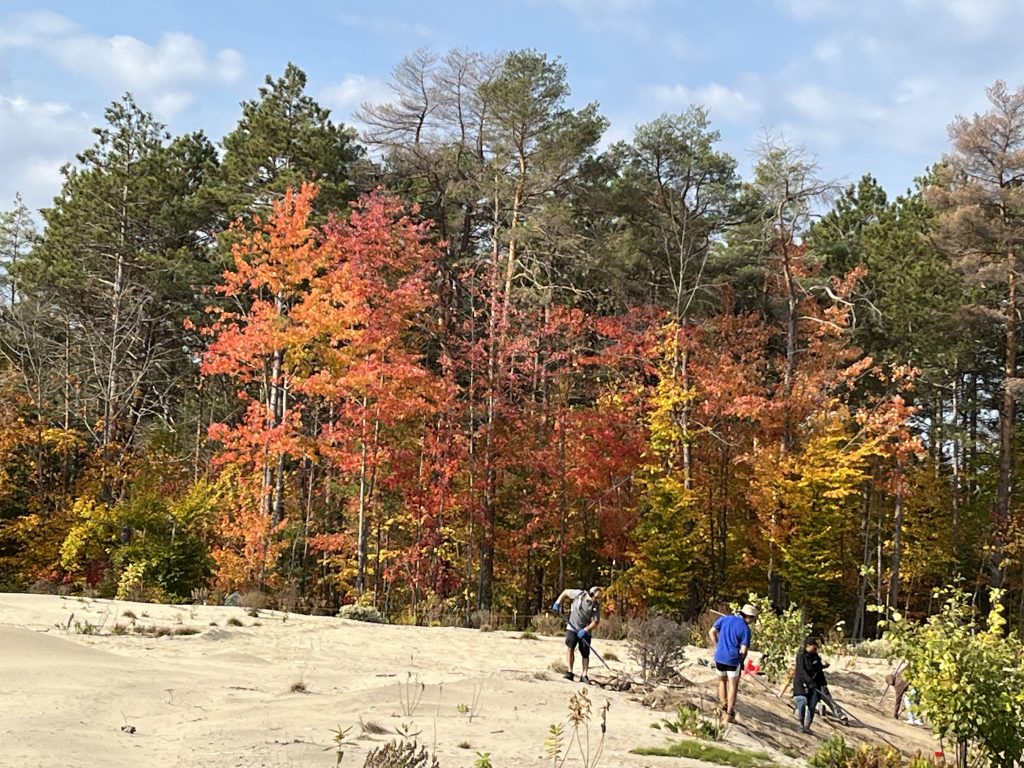 October at the dunes. Photo by Karen Lane