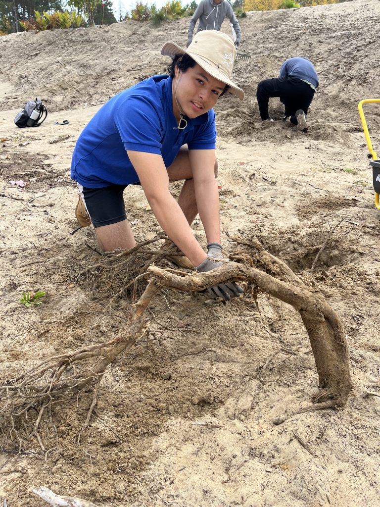 Volunteer at Dune #1. Photo by Karen Lane